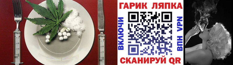 Купить где  Севск  Cannafood конопля 