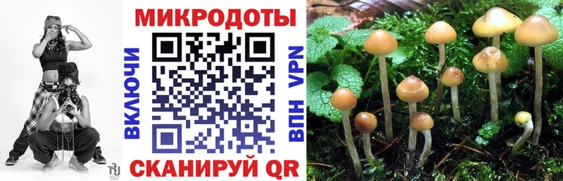 Галлюциногенные грибы ЛСД  Купить где  Севск 